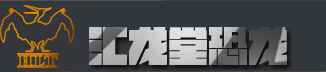 自贡市汇龙堂艺术有限公司