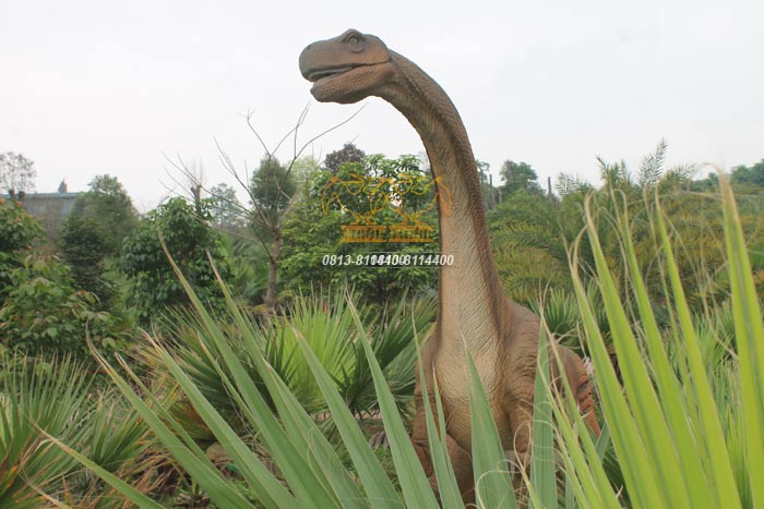 仿真恐龙制作-蜀龙