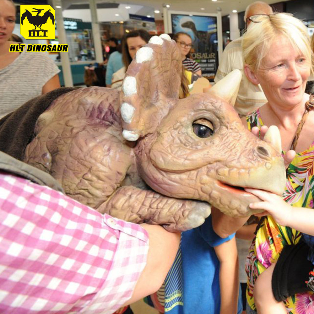 三角龙套装玩偶