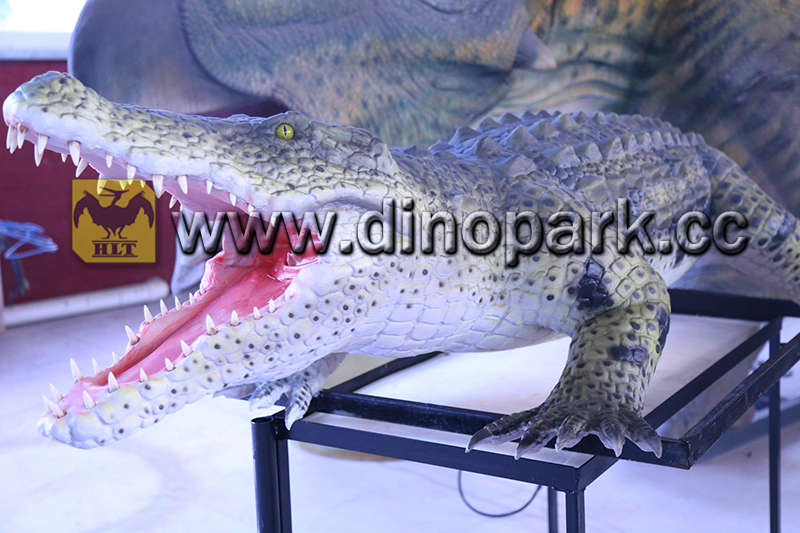 汇龙堂仿真鳄鱼—仿真动物制作
