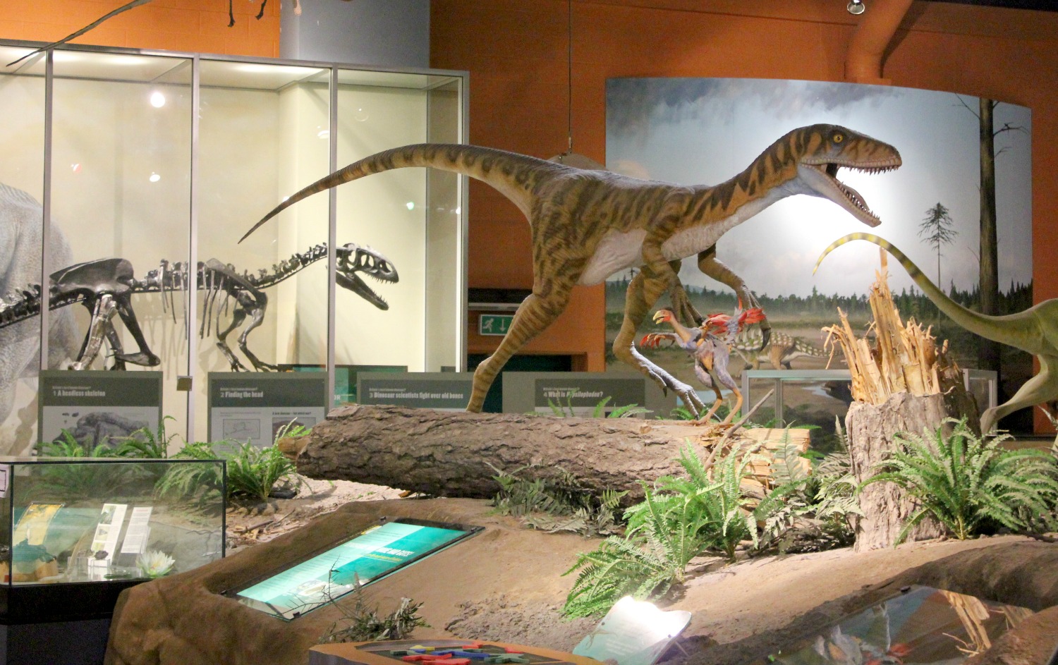 自贡恐龙源头生产厂家