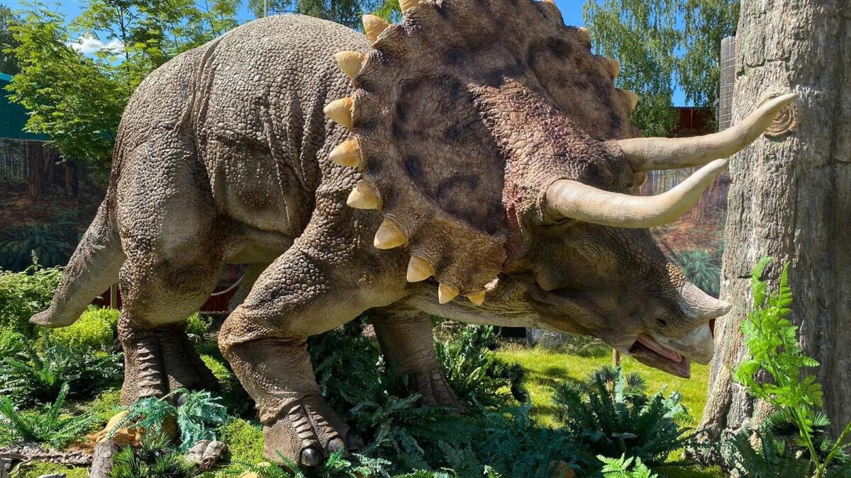 仿真机械恐龙模型定制--仿真三角龙：复刻白垩纪的装甲王者