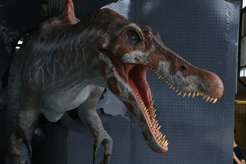 高精度仿真棘背龙