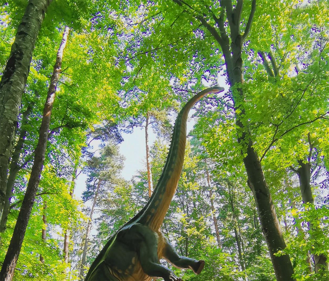 森境龙影户外仿真恐龙装置