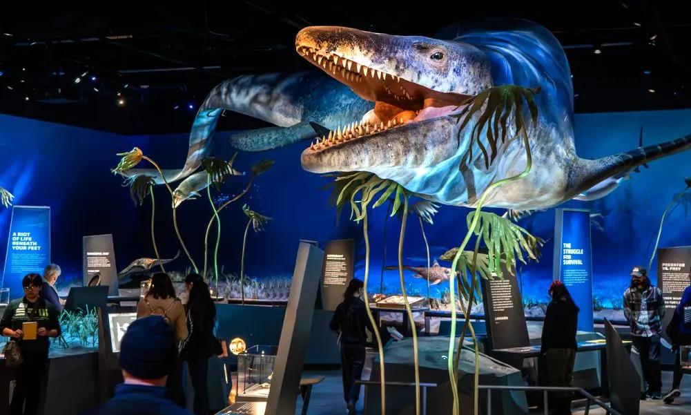 史前海洋巨兽仿真展陈模型（沧龙款）