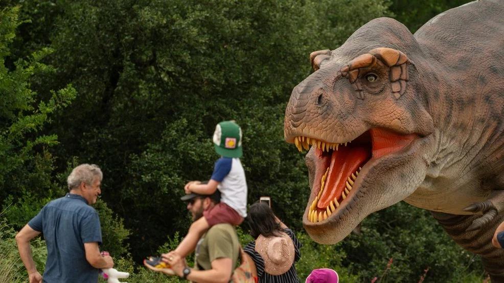 仿真霸王龙模型 | 主题乐园网红打卡爆款