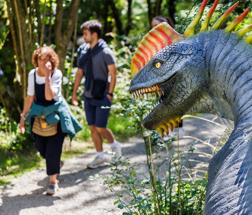 冠龙（Corythosaurus）仿真模型?头戴 “头盔” 的远古演说家