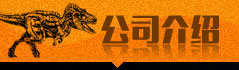 公司介绍