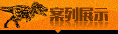 案例展示