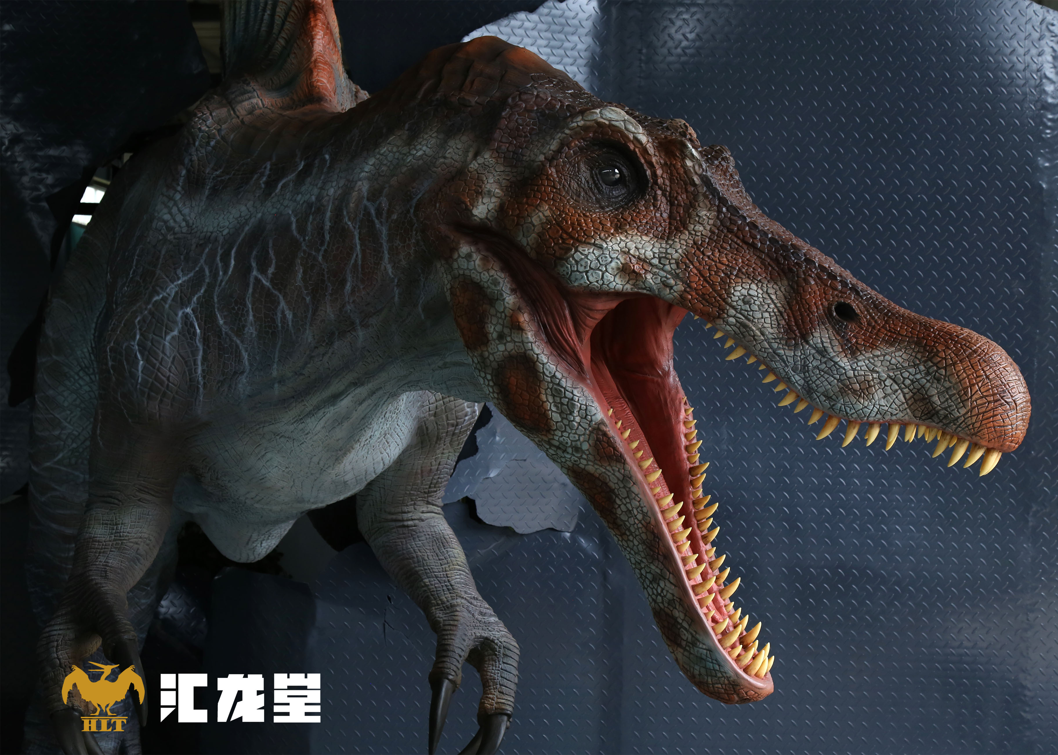 仿真恐龙成品展示-自贡汇龙堂仿真恐龙制作厂家定制产品