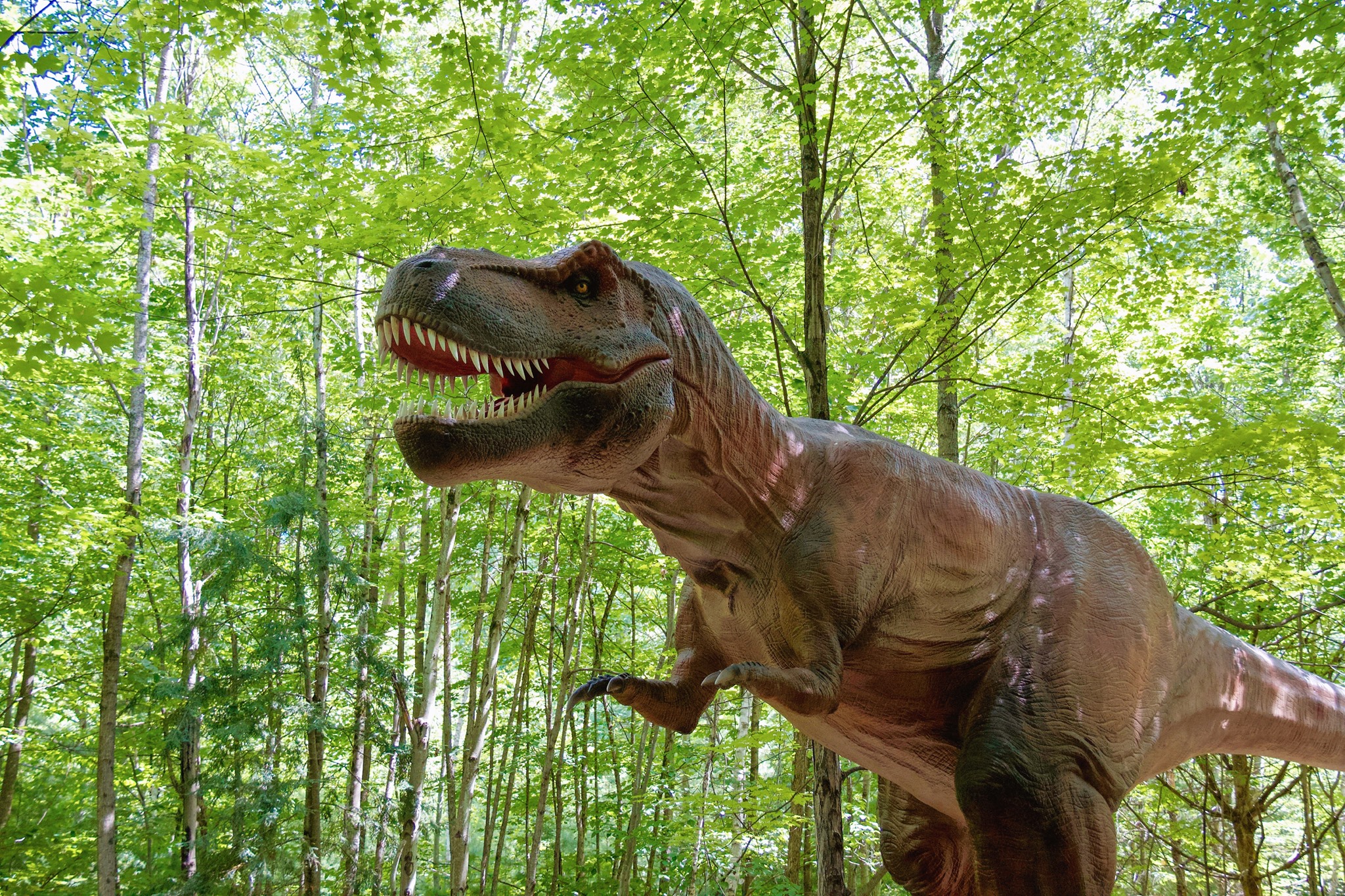 仿真霸王龙-美国纽约Lake George项目-汇龙堂出品