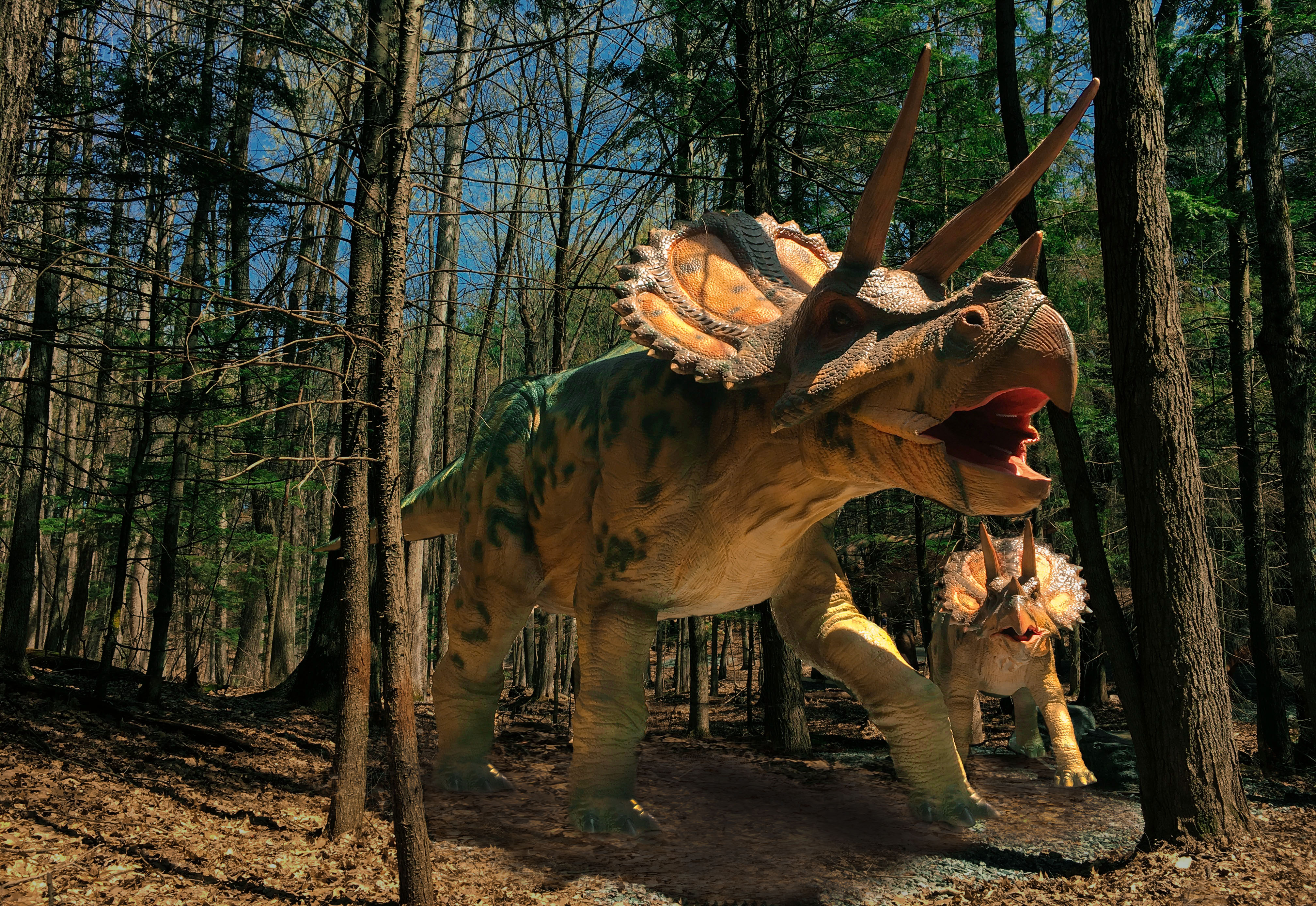 仿真三角龙母子-户外景区展示-自贡汇龙堂定制