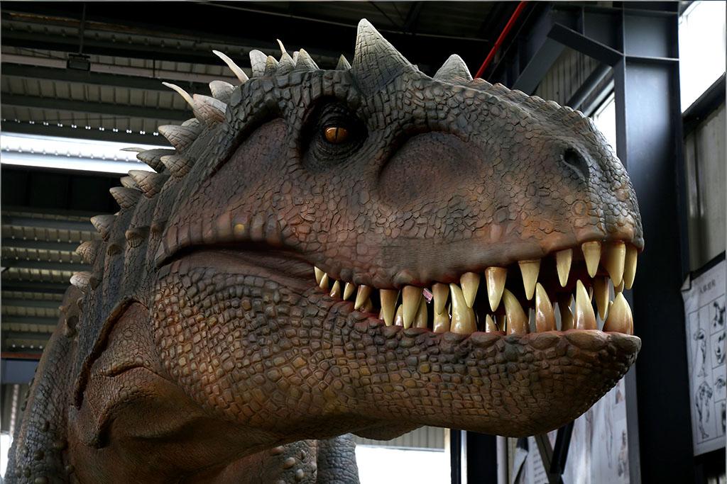 仿真暴掠霸王龙头部细节-仿真恐龙定制多少钱