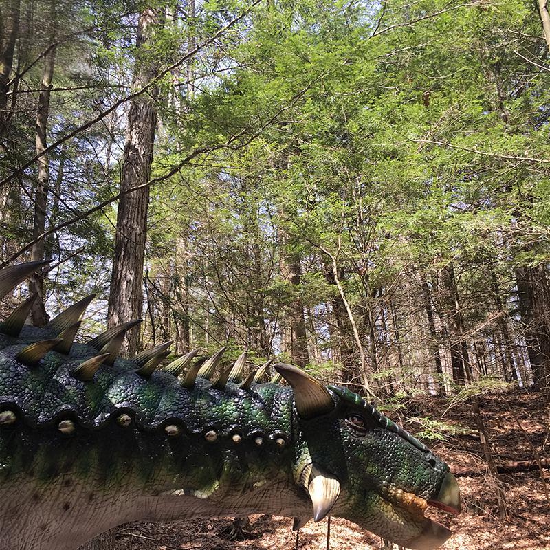 仿真甲龙头部装甲特写-颈甲三角刺-自贡仿真恐龙厂家