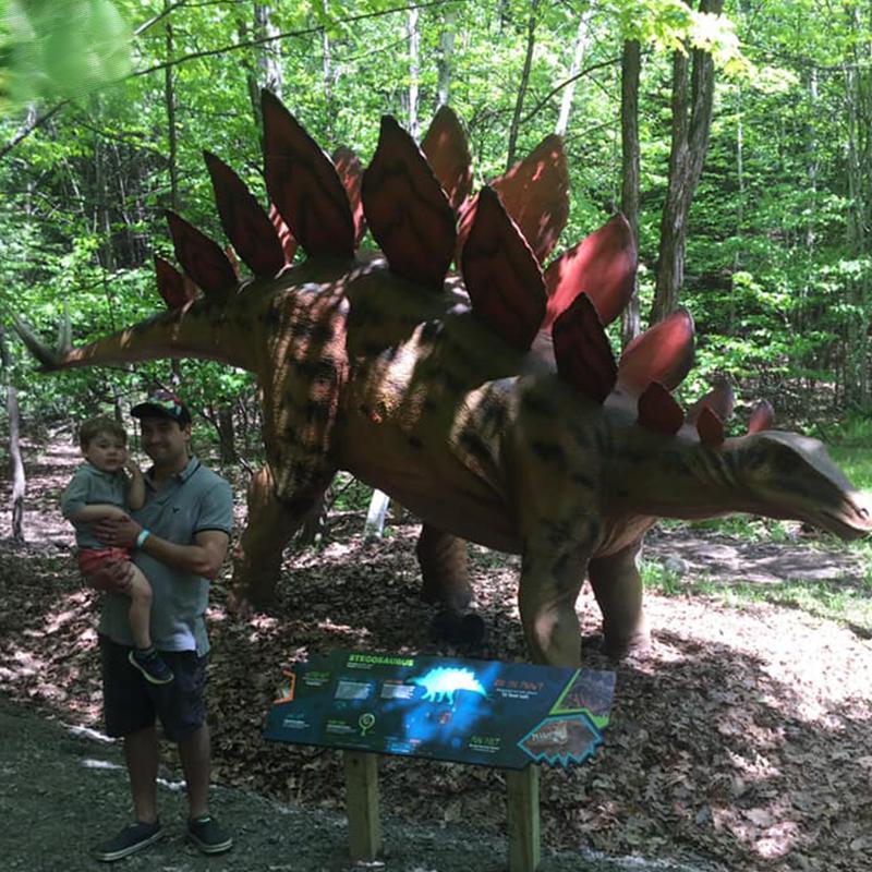 仿真剑龙-自贡汇龙堂仿真恐龙制作-侏罗纪标志性恐龙模型