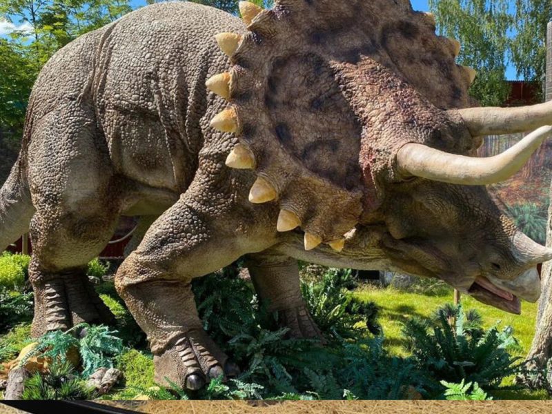 仿真三角龙模型