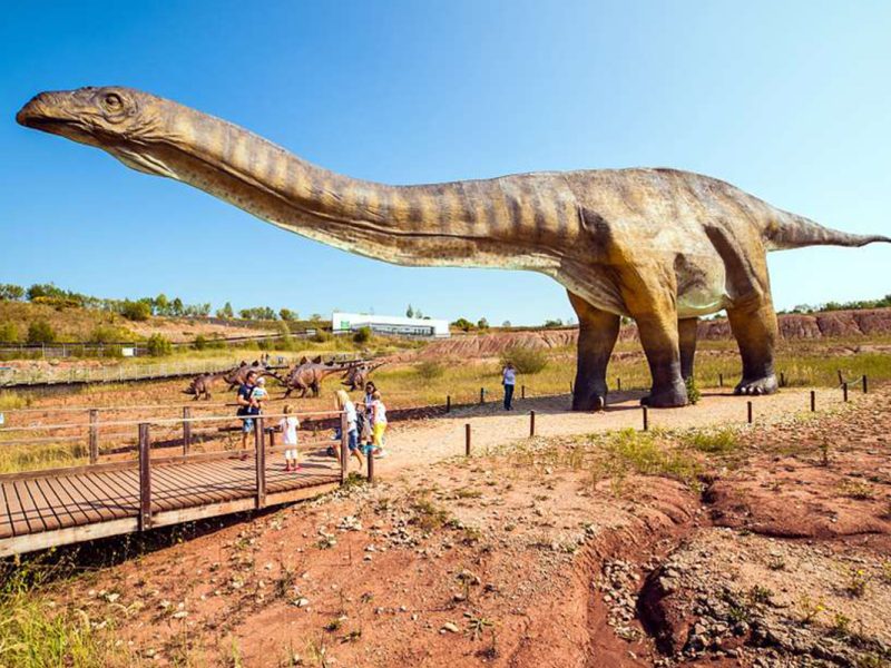 仿真梁龙模型定制 | 1:1科学复原 | 自贡汇龙堂仿真恐龙厂家
