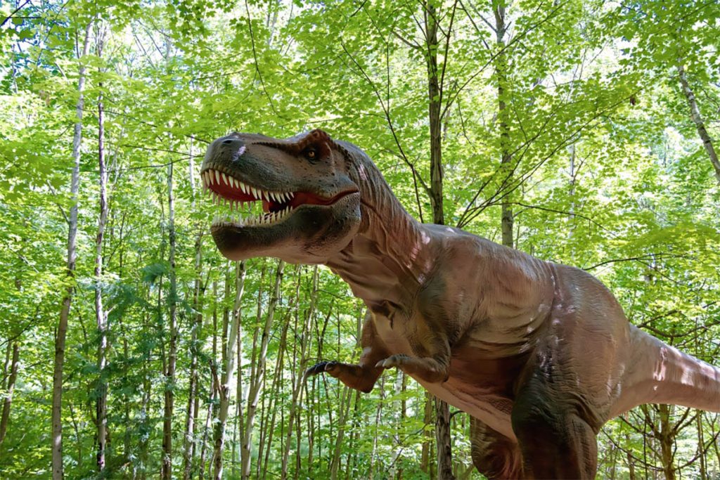 汇龙堂仿真恐龙亮相美国纽约Lake George，中国智造走向世界