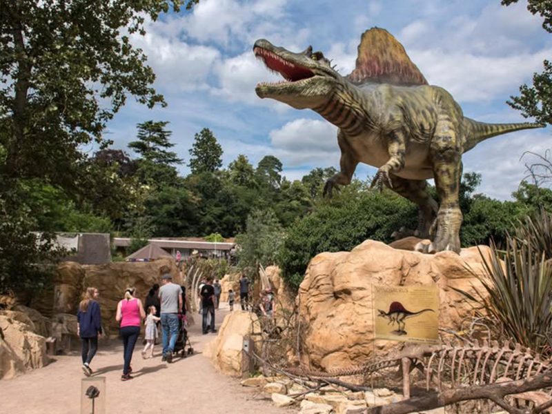 仿真棘背龙模型