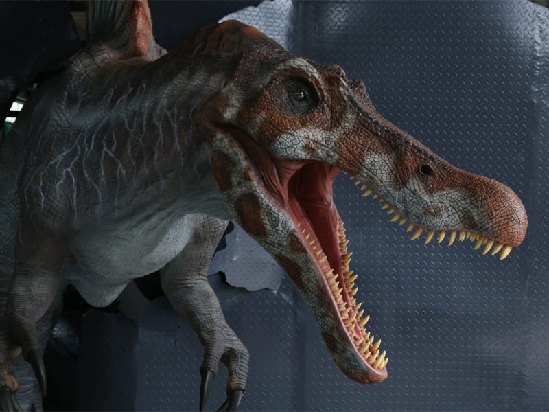 仿真棘背龙2代模型