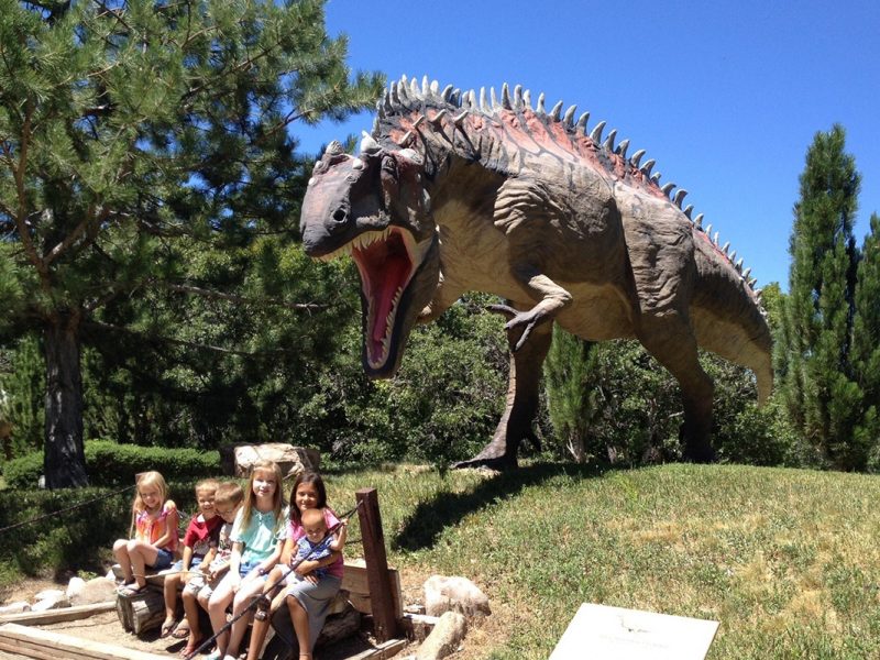 仿真牛角龙模型 | 自贡仿真恐龙厂家 – 汇龙堂