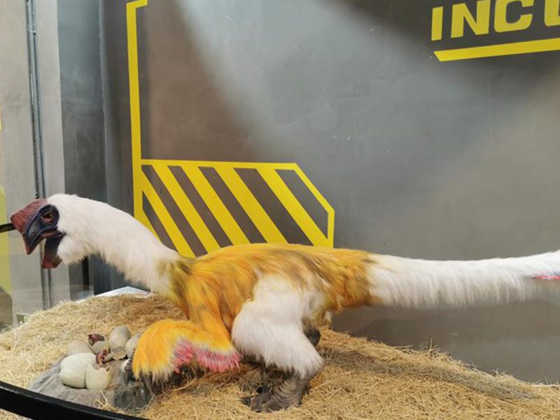 仿真窃蛋龙模型