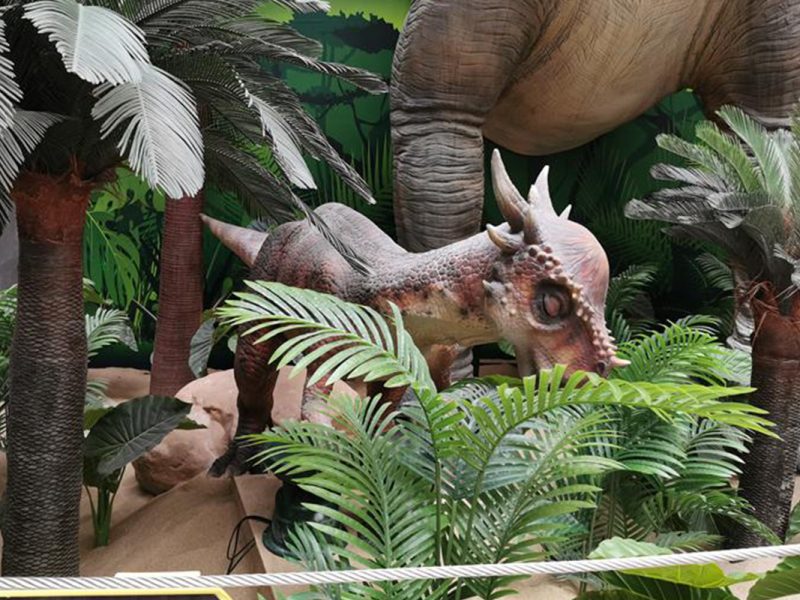 仿真肿头龙模型