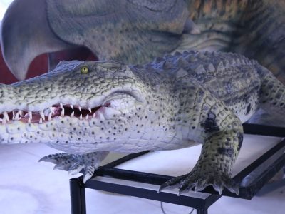 仿真鳄鱼-电动仿真鳄鱼模型-湿地沼泽主题展 | 自贡汇龙堂 博物馆 恐龙定制 汇龙堂