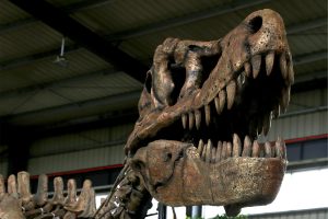 恐龙化石模型是怎么做出来的？古生物学家的"造假"艺术 行业资讯 恐龙新闻 汇龙堂