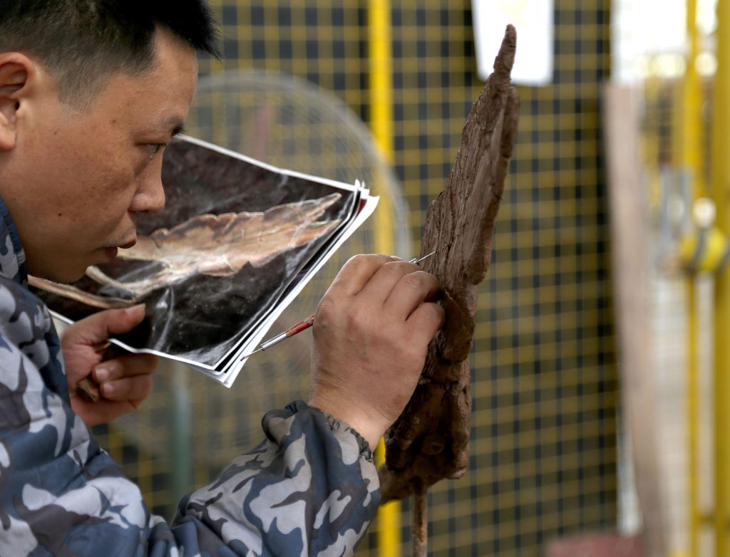 恐龙化石模型是怎么做出来的？古生物学家的"造假"艺术 行业资讯 汇龙堂动态 汇龙堂