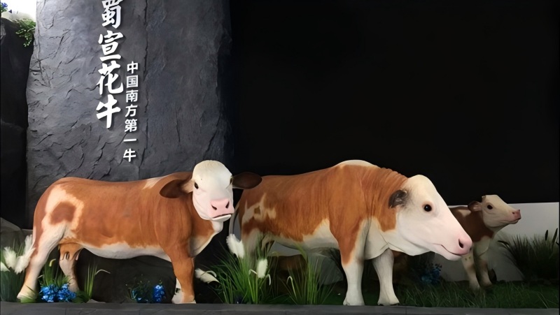 仿真蜀宣花牛模型中国名种花牛雕塑自贡汇龙堂仿真动物厂家